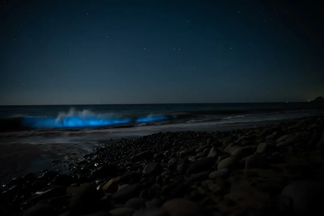 1. Bioluminescent Waves: The Ocean That Glows at Night (Image Credits: Unsplash)