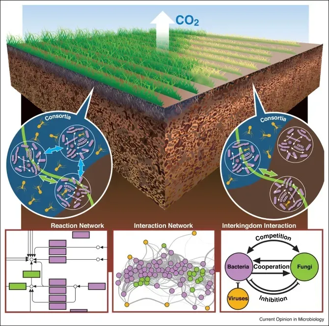The Future Written in Microscopic Code (Image Credits: Wikimedia)