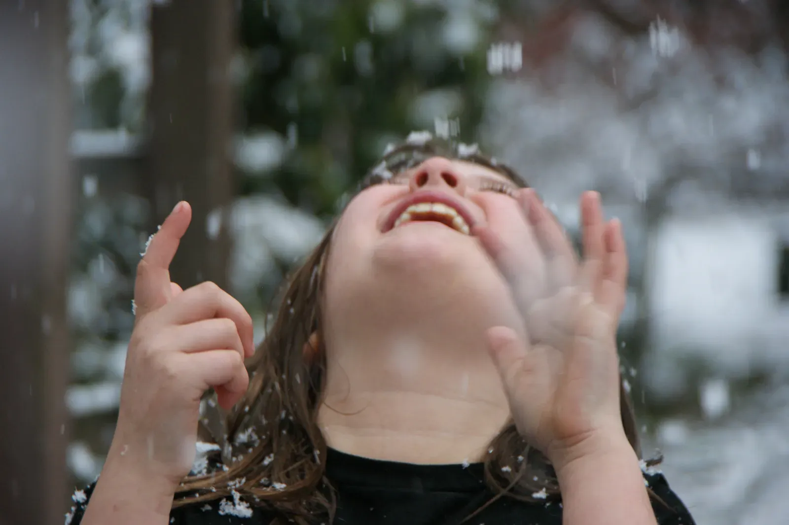 The Gratitude Brain Transformation (Image Credits: Wikimedia)