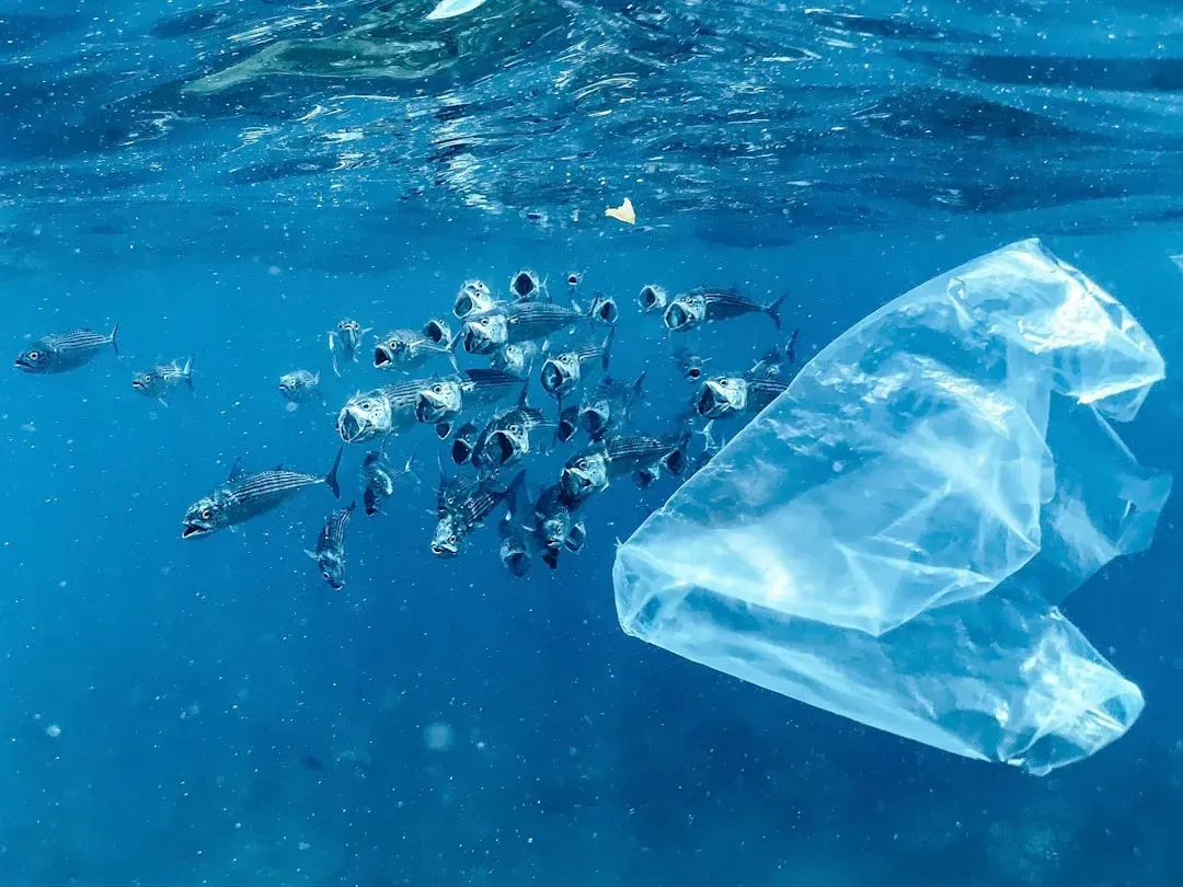 8. Plastic Bags and Food Wrappers (Image Credits: Unsplash)
