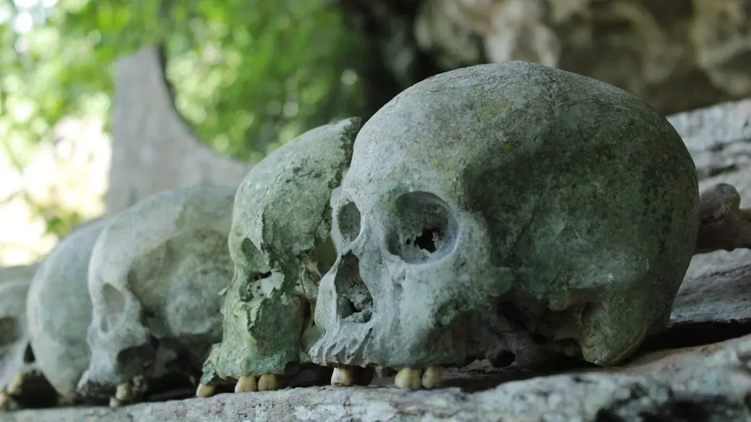 7. The Skeletons with Extra Heads and Mixed-Up Bones (Image Credits: Unsplash)