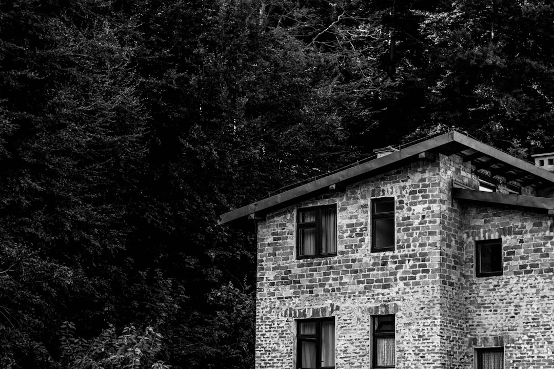 Old House Woods, Virginia: Where Legends Meet Reality (Image Credits: Unsplash)
