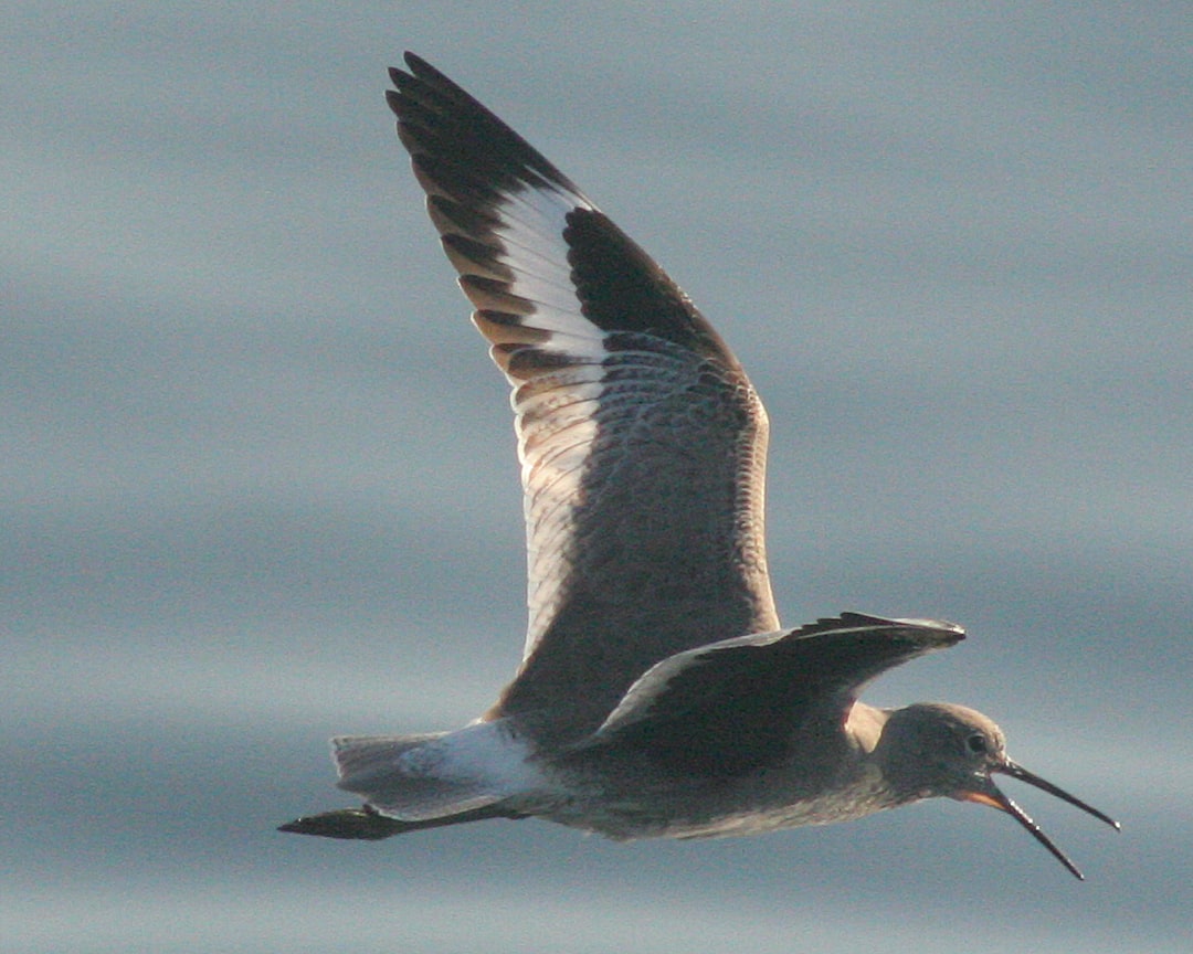 From Ancient Tools to Modern Science (Image Credits: Unsplash)