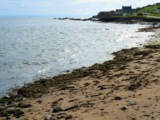 #4 Kelp Wrack Lines Delivering Nutrients and Tiny Forests (From geograph.org.uk, CC BY-SA 2.0)