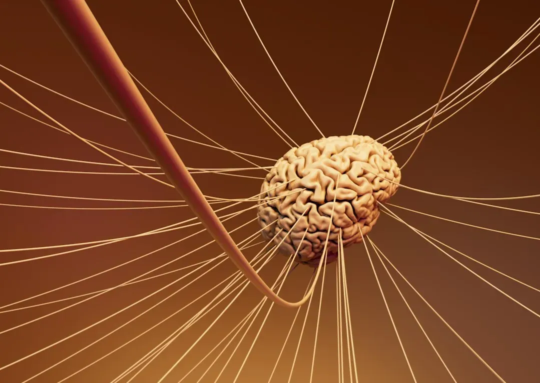 3. Integrated Information Theory: Consciousness as Structured Complexity (Image Credits: Unsplash)