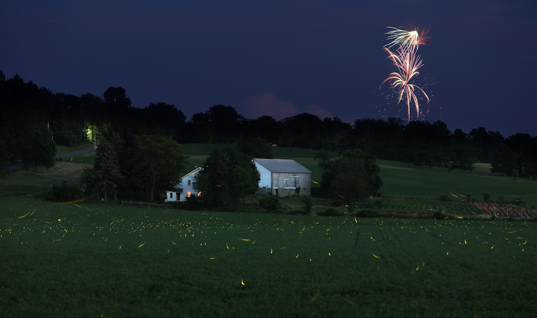 Iowa: An Unexpected Summer Surge (Image Credits: Unsplash)
