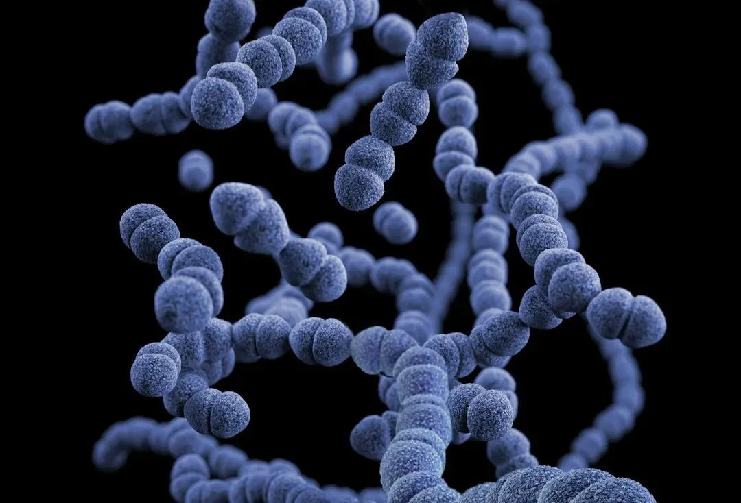 Our Inner Ecosystem: The Human Microbiome (Image Credits: Unsplash)