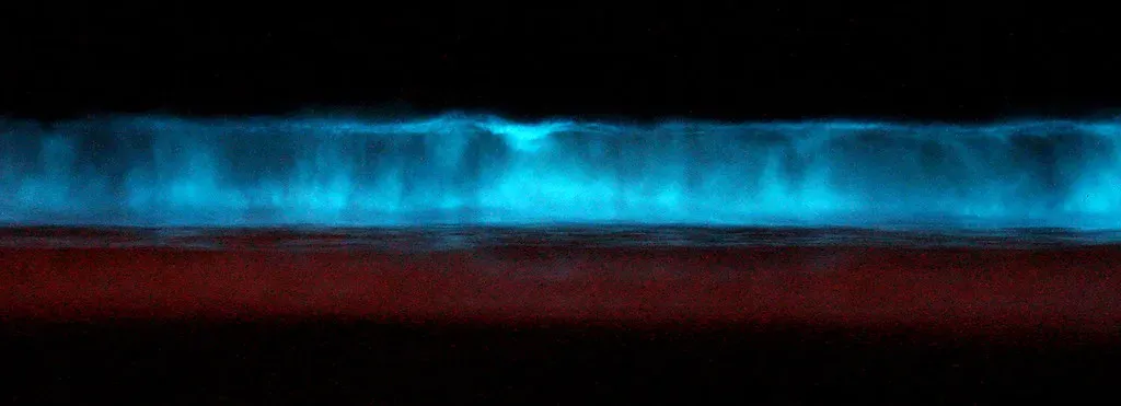 #11 The “Bioluminescent Wave Walls” Near Shores (msauder, Flickr, CC BY-SA 2.0)