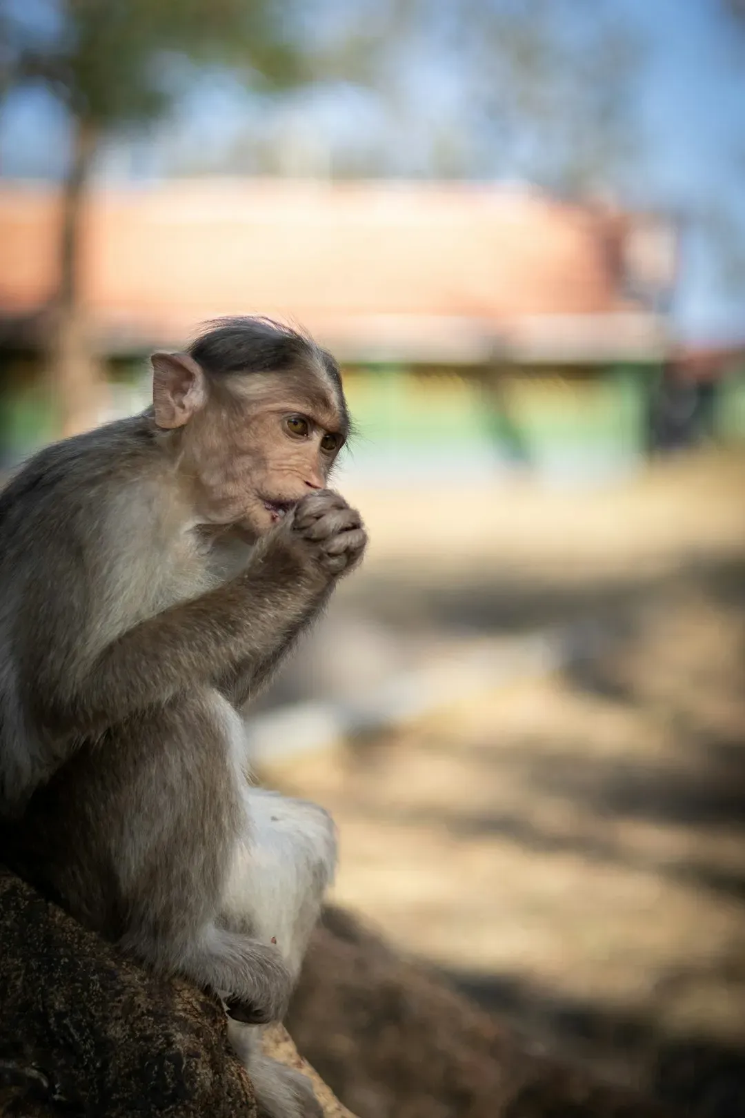 Darwin Was Right Before the Rest of Science Caught Up (Image Credits: Unsplash)