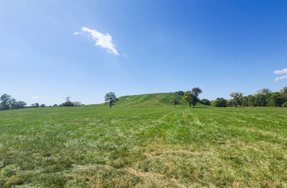Modern Science Meets Indigenous Knowledge (Image Credits: Unsplash)