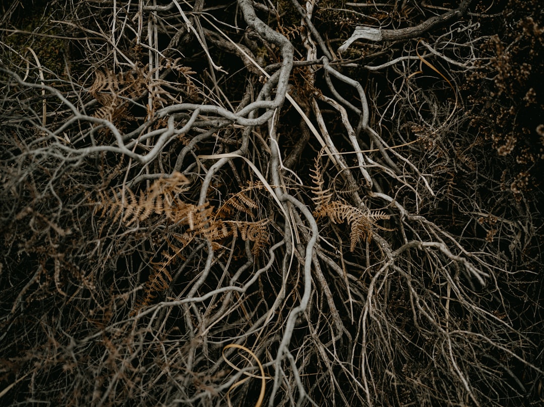 The Underground Architecture (Image Credits: Unsplash)