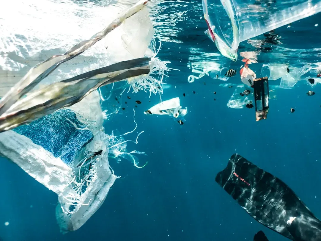 8. Plastic and Human Trash Have Reached the Deepest Trenches (Image Credits: Unsplash)