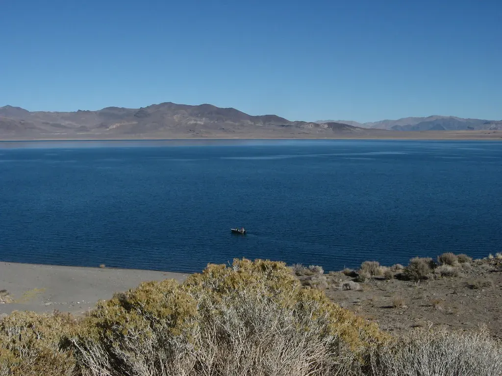 Why This Comes Down to Water Policy and Political Nerve (Ken Lund, Flickr, CC BY-SA 2.0)