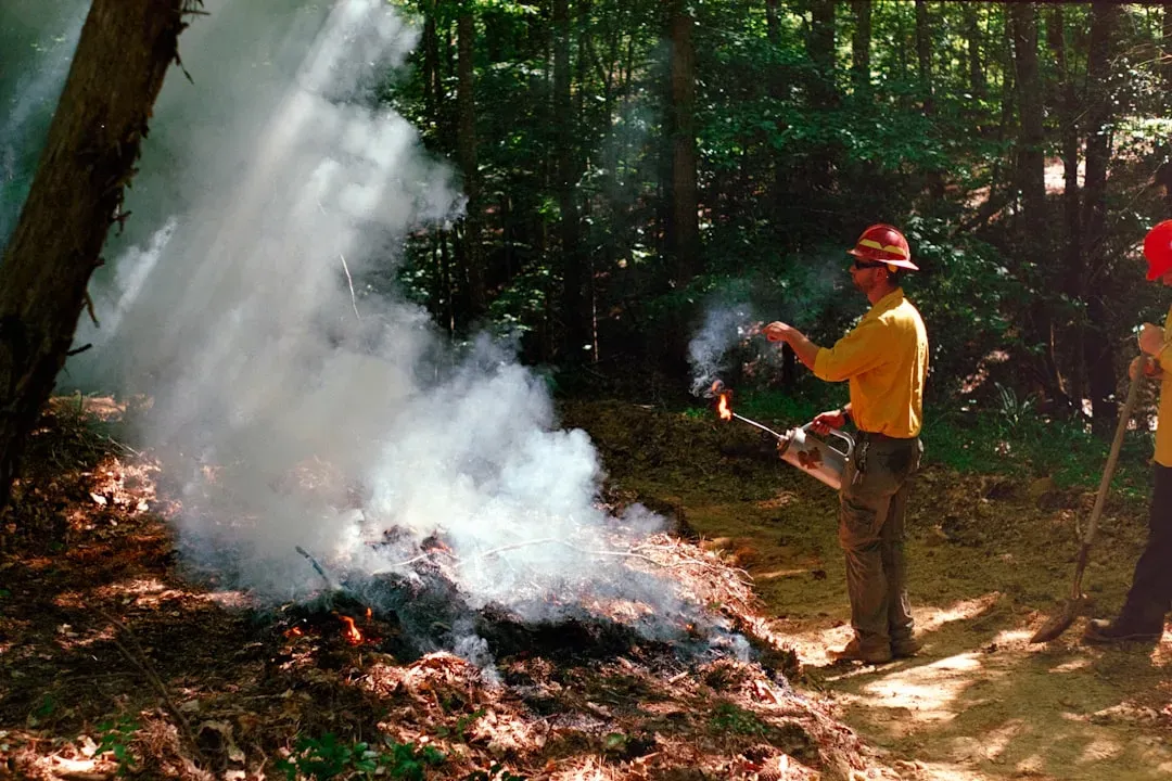 9. Managing Fire, Forests, and Climate Impacts Instead of Pretending They Are Separate (Image Credits: Unsplash)