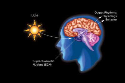 The Hidden Clues (Image Credits: Wikimedia)