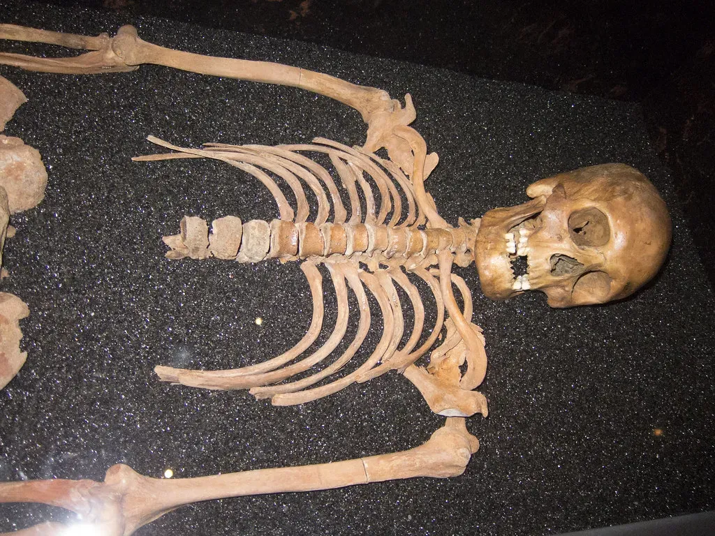 #6 - The Six Galleries That Lost Every Human Skeleton Overnight (quinet, Flickr, CC BY 2.0)