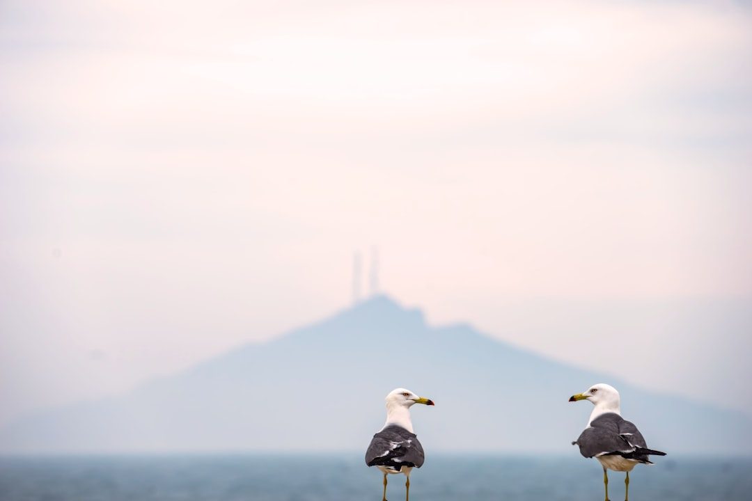 Hekla and the Fire-Breathing Sky: Volcanic Gates and Circling Hunters (Image Credits: Unsplash)