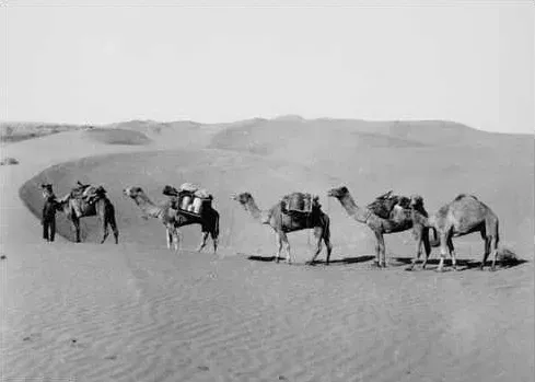 #5 - The Perfectly Symmetrical Caravan in the Desert (By Unknown authorUnknown author, Public domain)