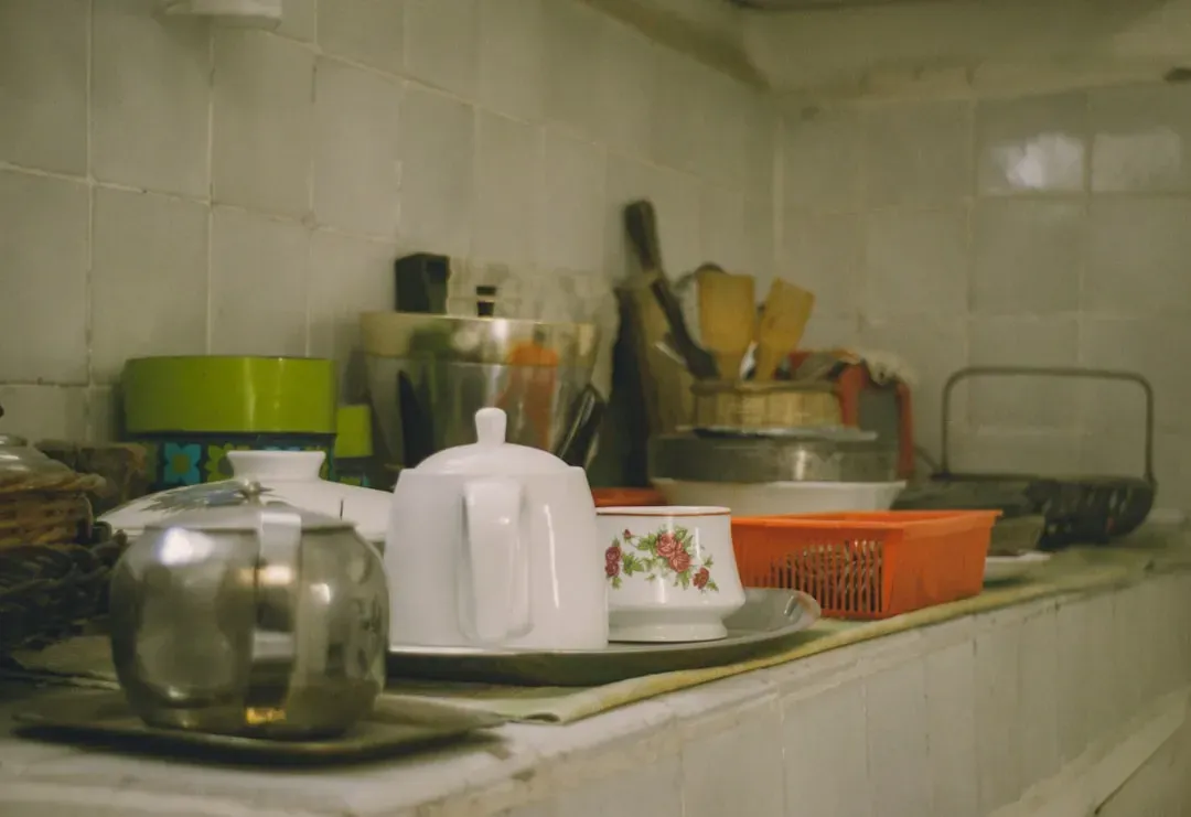 Your Home Is a Microbial Zoo (Image Credits: Unsplash)