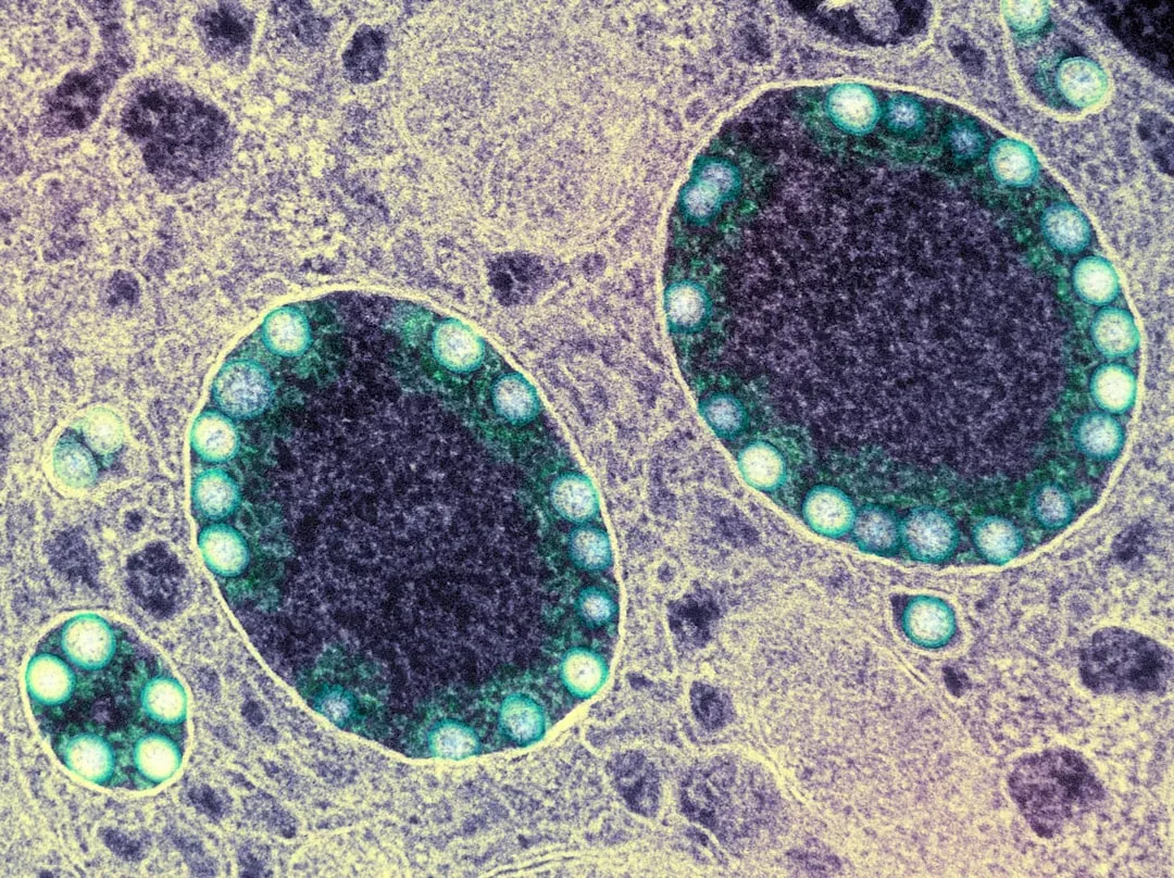 Cellular Housekeeping: Longevity Genes in Repair and Recycling (Image Credits: Unsplash)