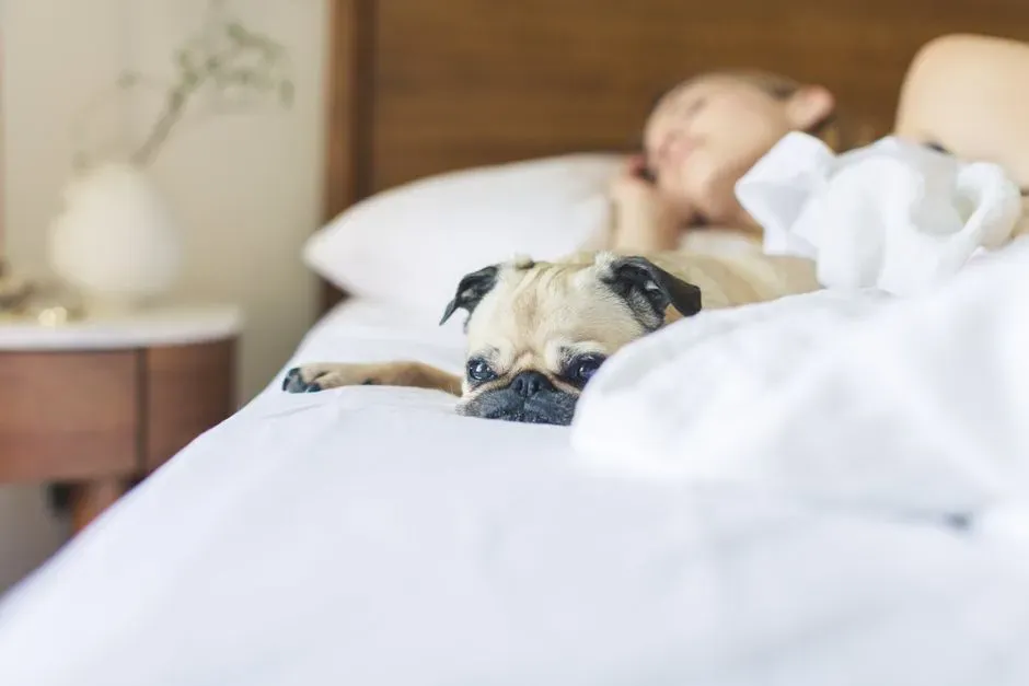 Conclusion: A Living Shield, a Soft Pillow, and the Truth in Between (Image Credits: Pexels)