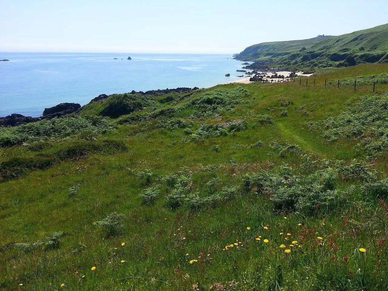 6. Scottish and Northern British Coasts (Image Credits: Pixabay)