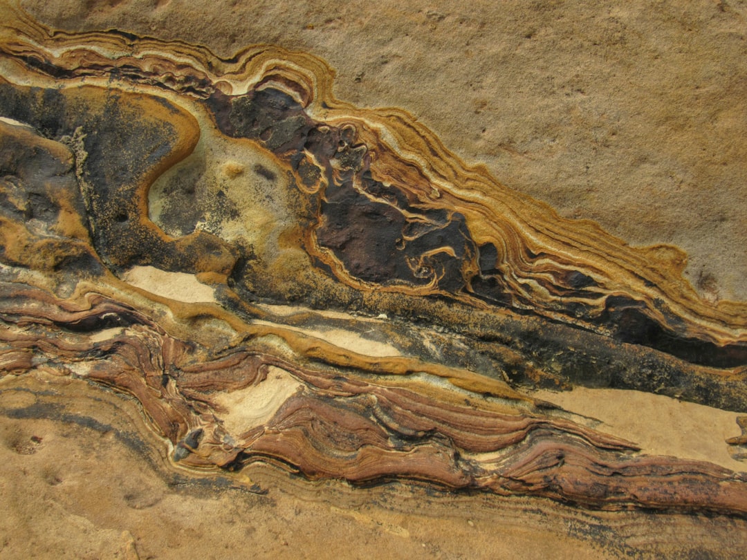 Hays, Kansas: The Mosasaur Capital of the World (Image Credits: Unsplash)