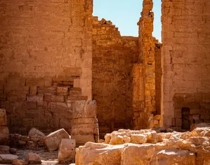 Great Zimbabwe of the Americas: The Casarabe Culture of the Bolivian Llanos (Image Credits: Pexels)