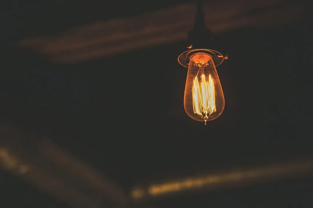 4. The Light Bulb: Edison in the United States and Swan in Britain (Image Credits: Unsplash)