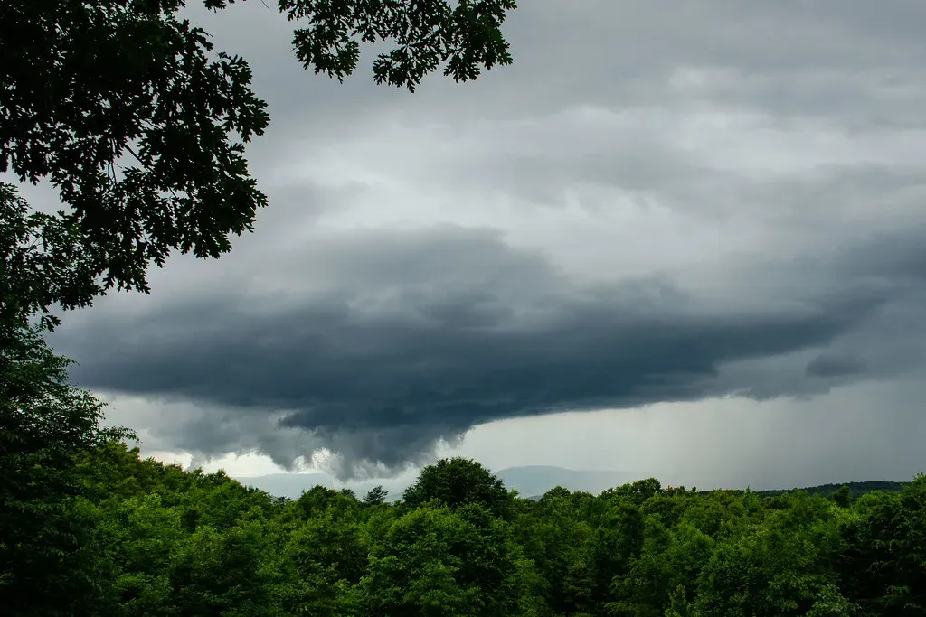 The Invisible Role of Air Pressure, Humidity, and Light (Mark F. Levisay, Flickr, CC BY 2.0)