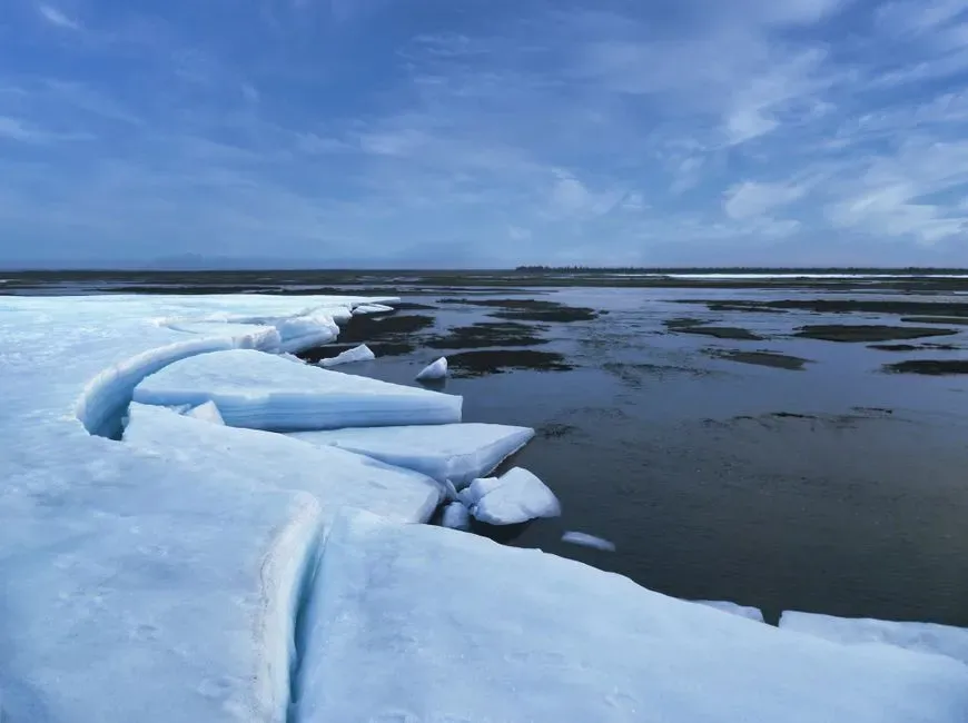 Lessons From Past Encounters With Long‑Frozen Pathogens (Image Credits: Pexels)