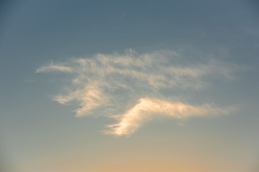 Recent Reports and Social Media Phenomena (Image Credits: Unsplash)