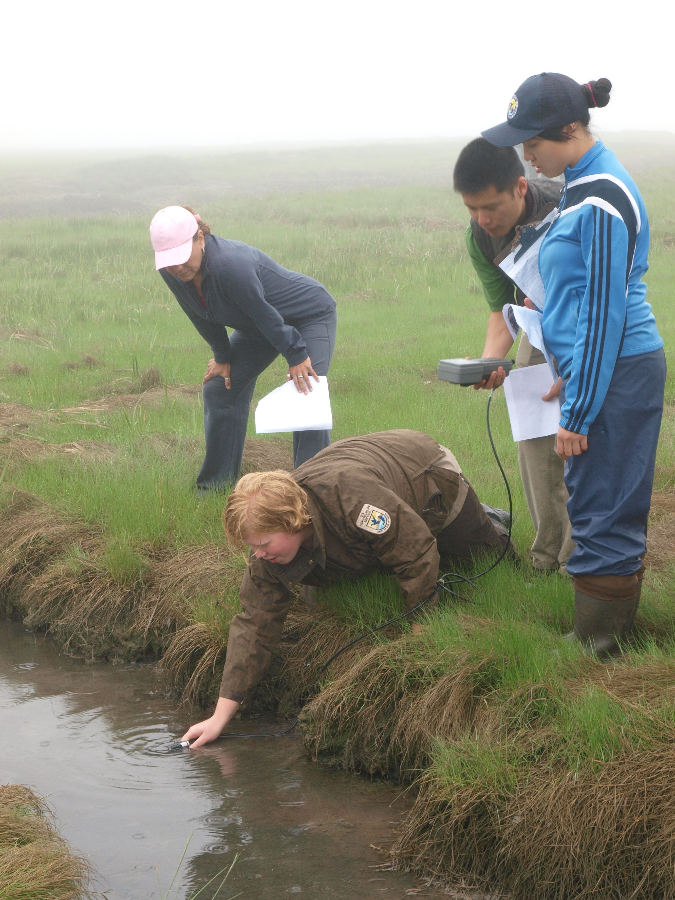 The Hidden Clues (Image Credits: Wikimedia)