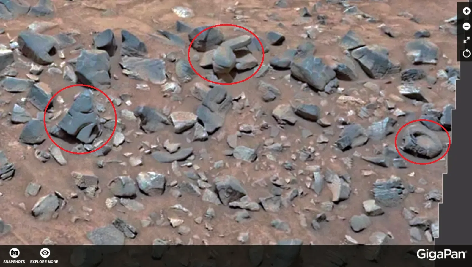 Ancient Martian Life: We Found Possible Fossils on Mars (Image Credits: Wikimedia)