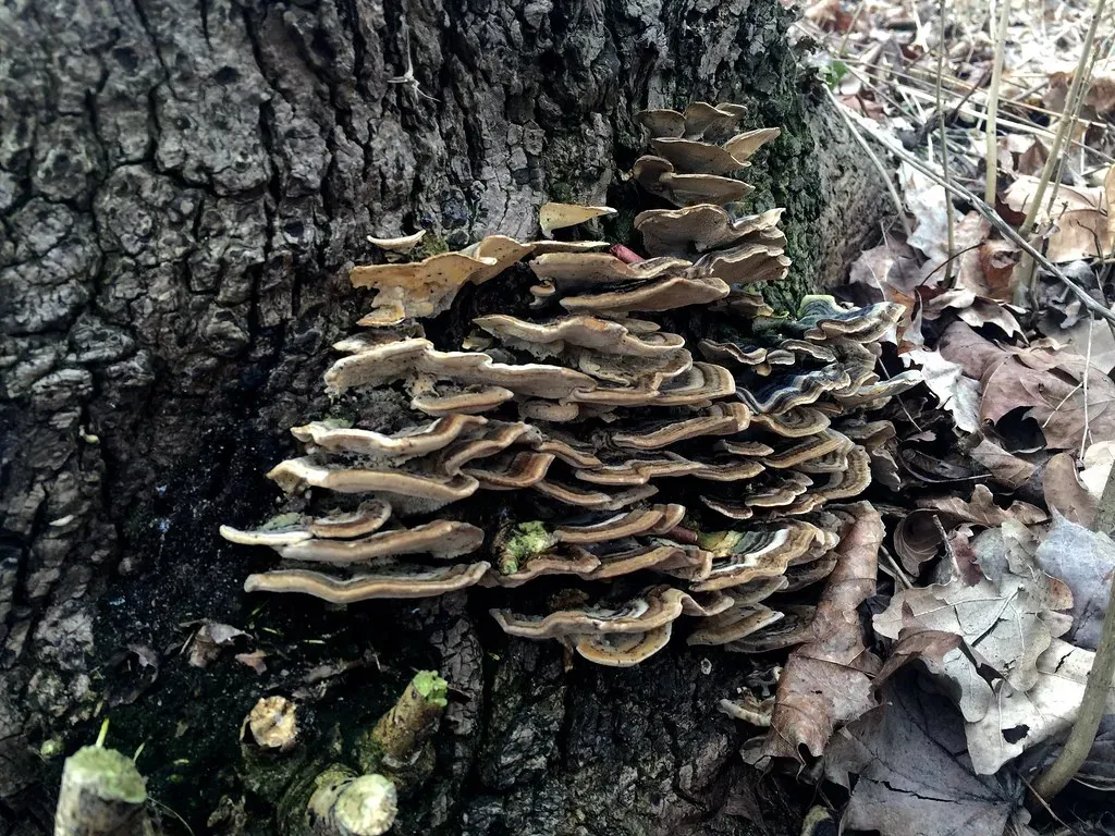 What This Means For Us and How We Live (Image Credits: Flickr)