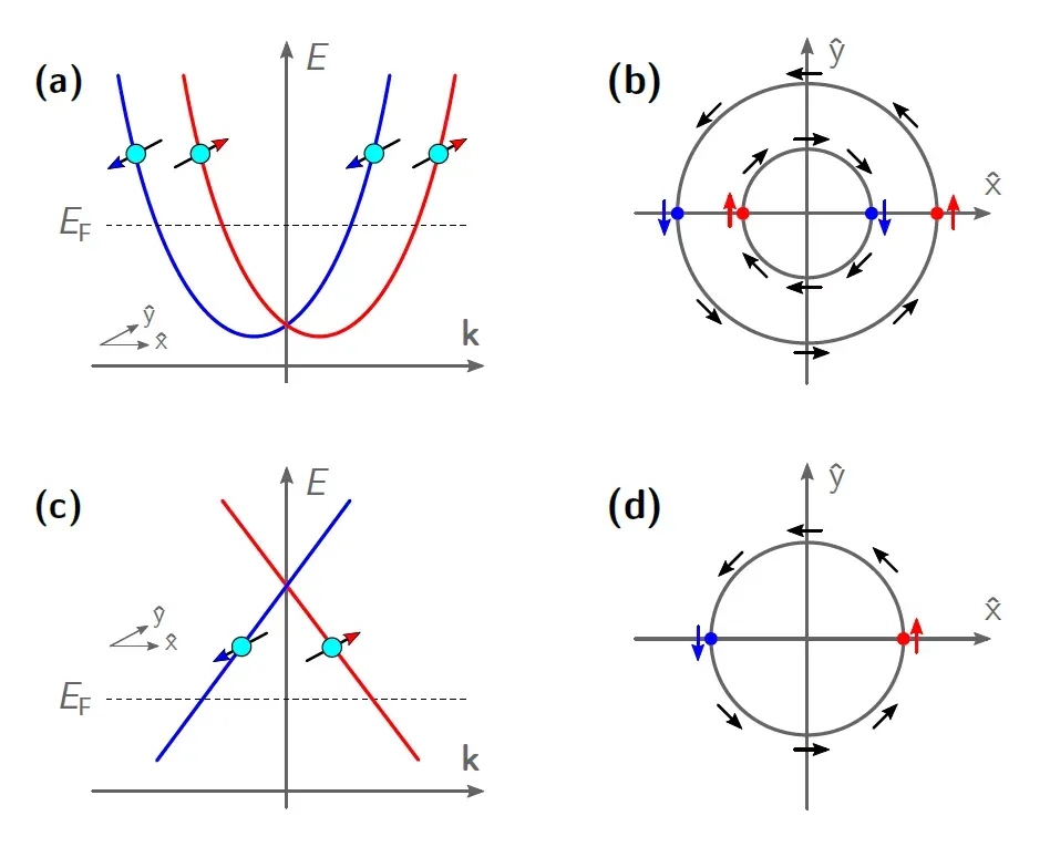 7. Parity Symmetry Violation: The Universe Has a Handedness (By Carlo Zucchetti, Public domain)