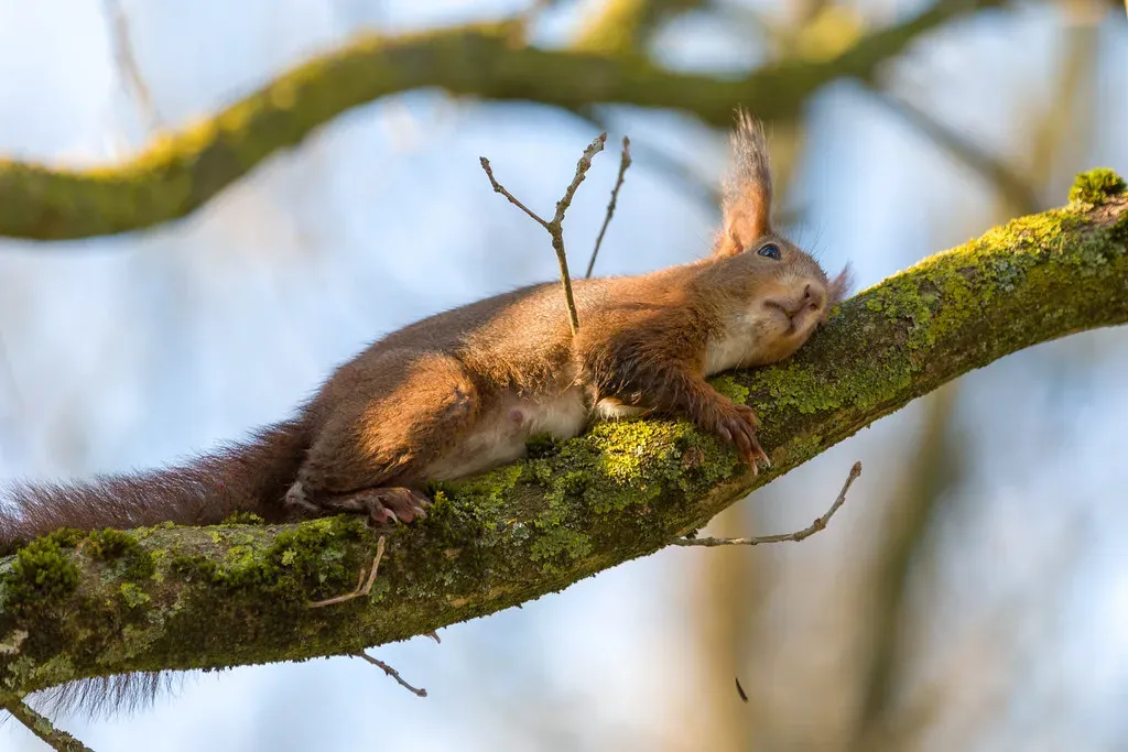 Fear, Stress, And The Darker Side Of Feeling (Image Credits: Flickr)