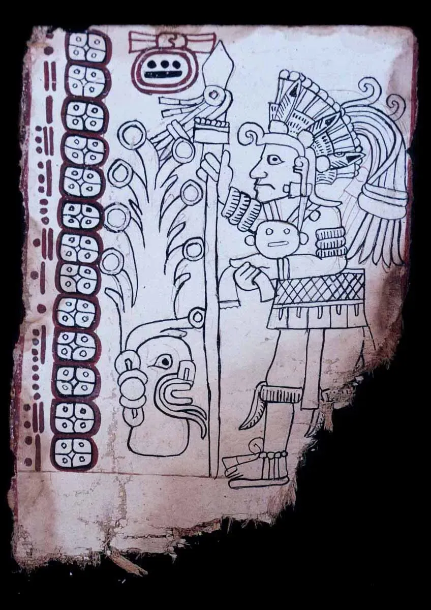 7. The Grolier Codex (Now the Maya Codex of Mexico): Ancient Book Under a Microscope (Private collectioninstitution QS:P195,somevalue,P3831,Q768717, Public domain)