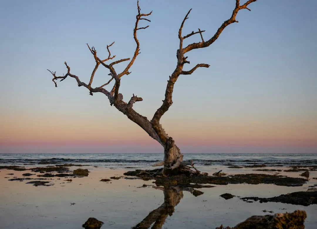 Salt Warriors: Pumping, Storing, and Excreting Excess Salt (Image Credits: Unsplash)