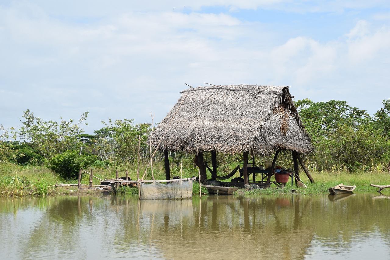 Recent Encounters: When Isolation Breaks Down (Image Credits: Pixabay)