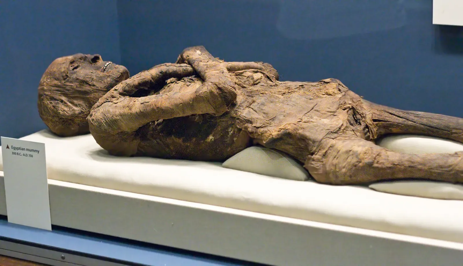 #13 - Egypt's Vanishing Embalming Formula (By C Watts, CC BY 2.0)