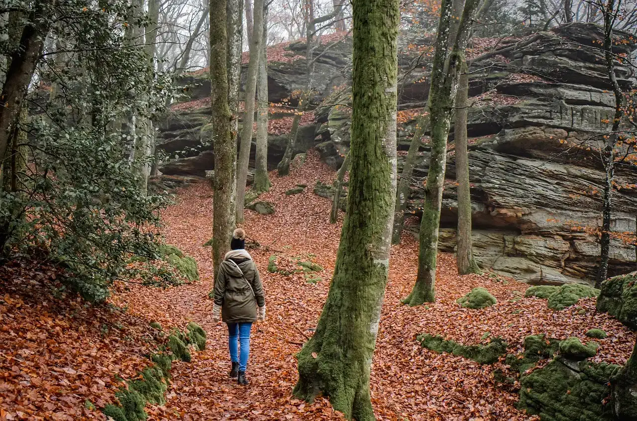 Nature time and mental health: mood, anxiety, and resilience (Image Credits: Pixabay)