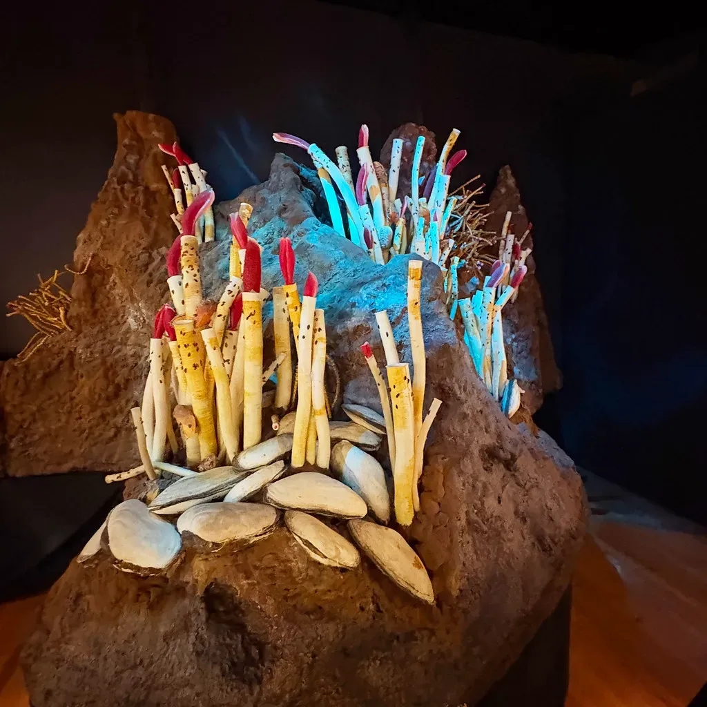 Giant Tube Worms That Never See Sunlight (Image Credits: Flickr)