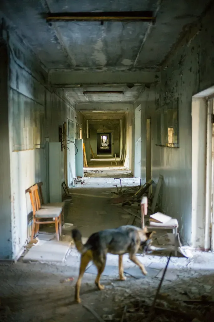 What This Means for You, Radiation, and Future Disasters (Frode Bjorshol, Flickr, CC BY 2.0)