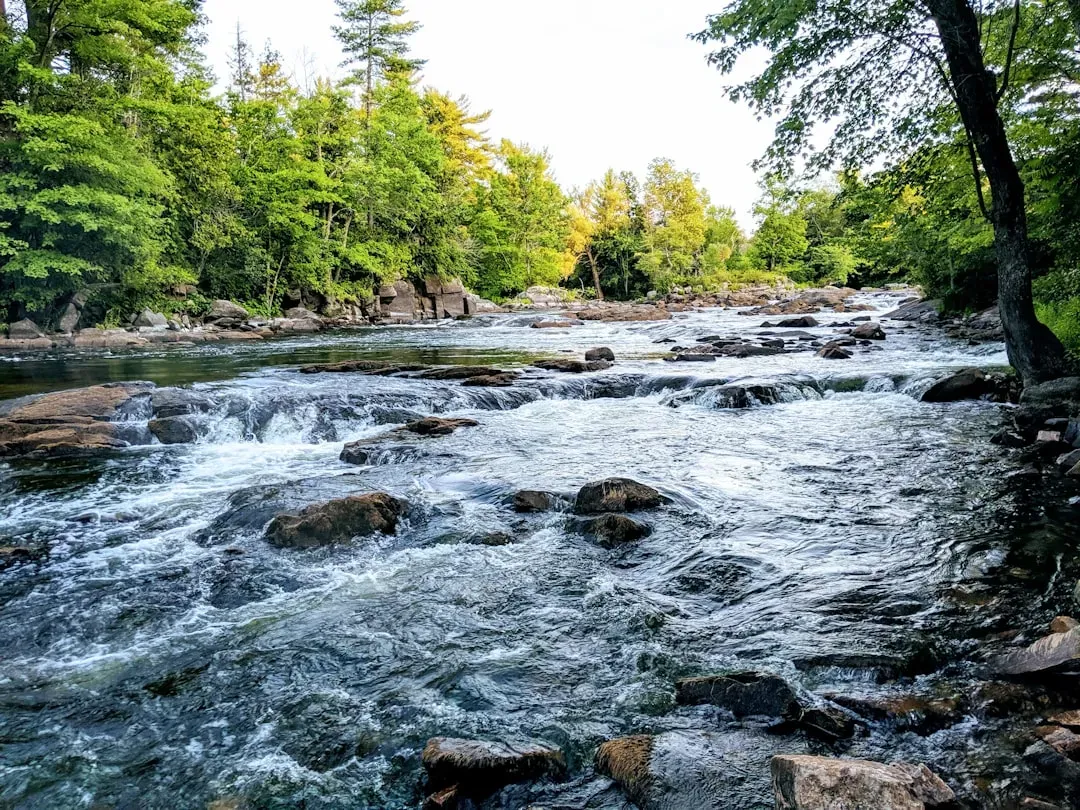Soft Fascination: How Water Frees Up Your High-Level Thinking (Image Credits: Unsplash)