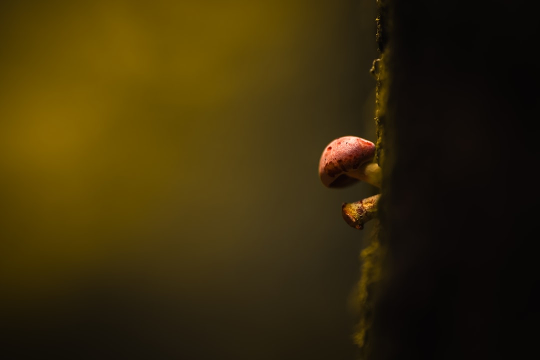 What You Can Do Now (Image Credits: Unsplash)