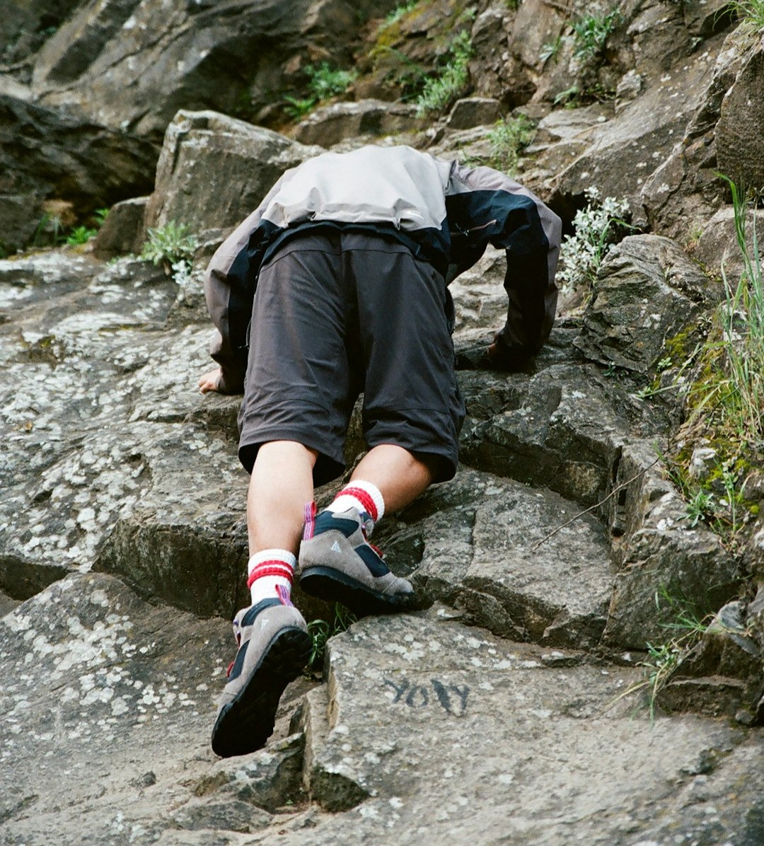 Visiting Without Leaving a Scar (Image Credits: Unsplash)