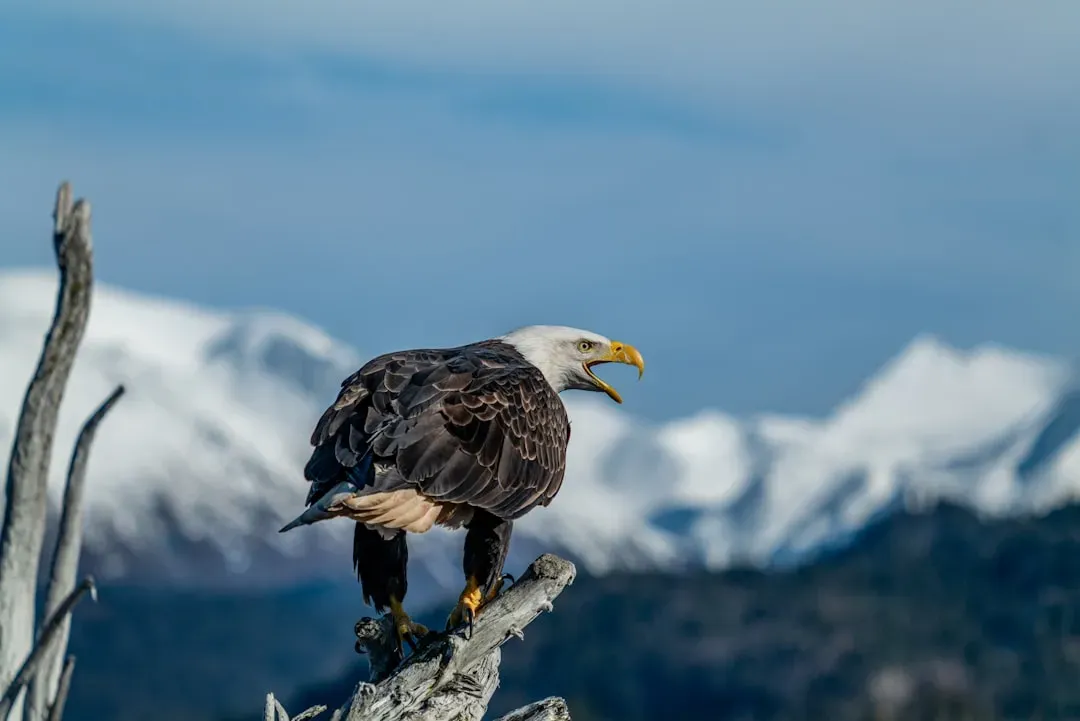 Reason 7: Long-Term Science and Monitoring Kept Recovery on Track (Image Credits: Unsplash)