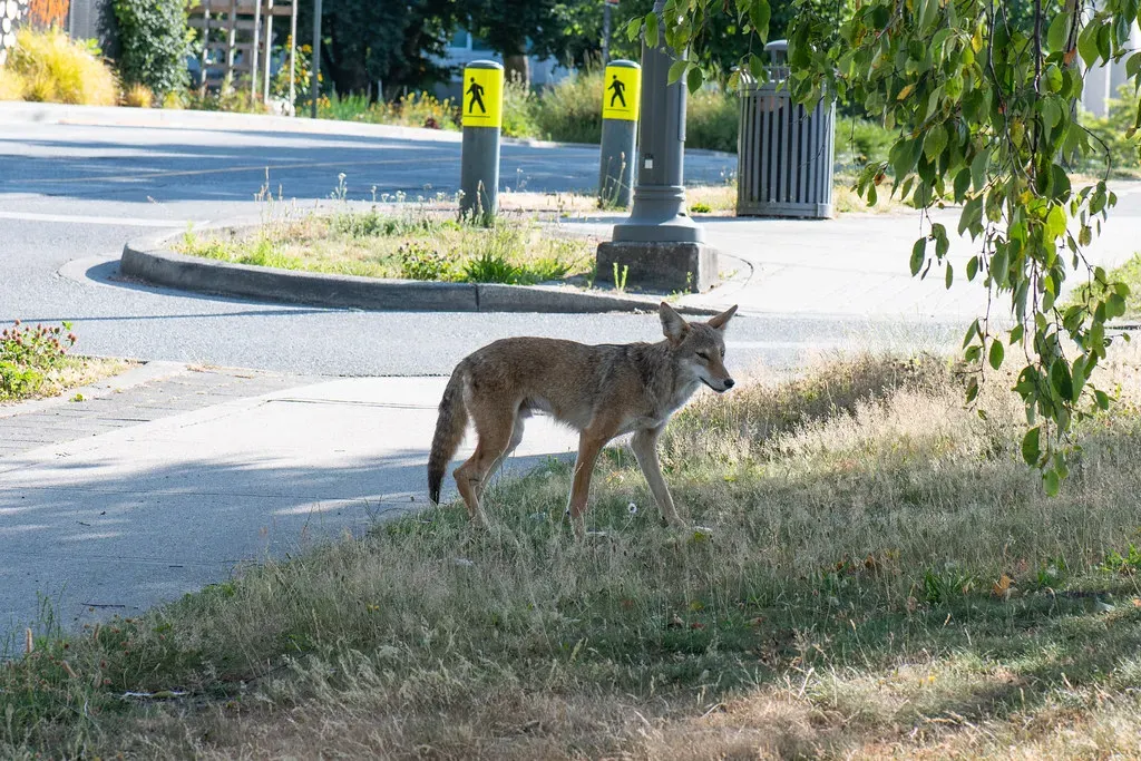 7. Past Encounters: What They Have “Learned” About Your Area (quinet, Flickr, CC BY 2.0)