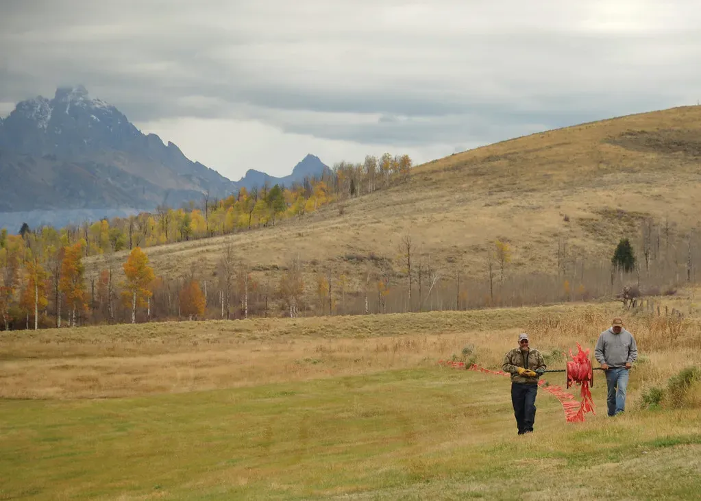 Ranchers Bear the Brunt (Image Credits: Flickr)